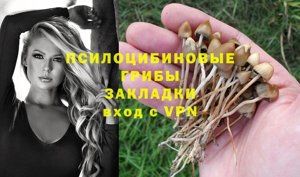 бошки Алексеевка